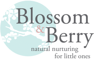 blossom-berry-logo-2017hr