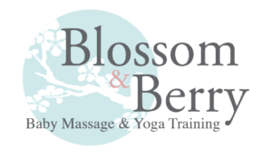 blossom-and-berry-logo