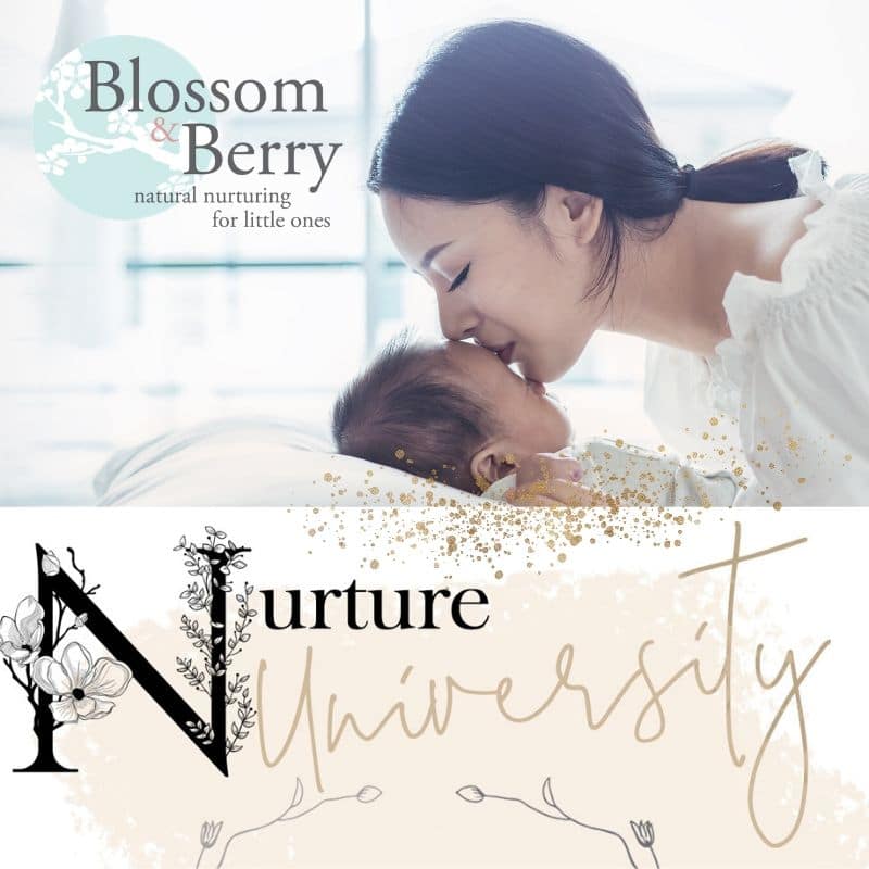 Nurture University - new branding Nurture University - new branding