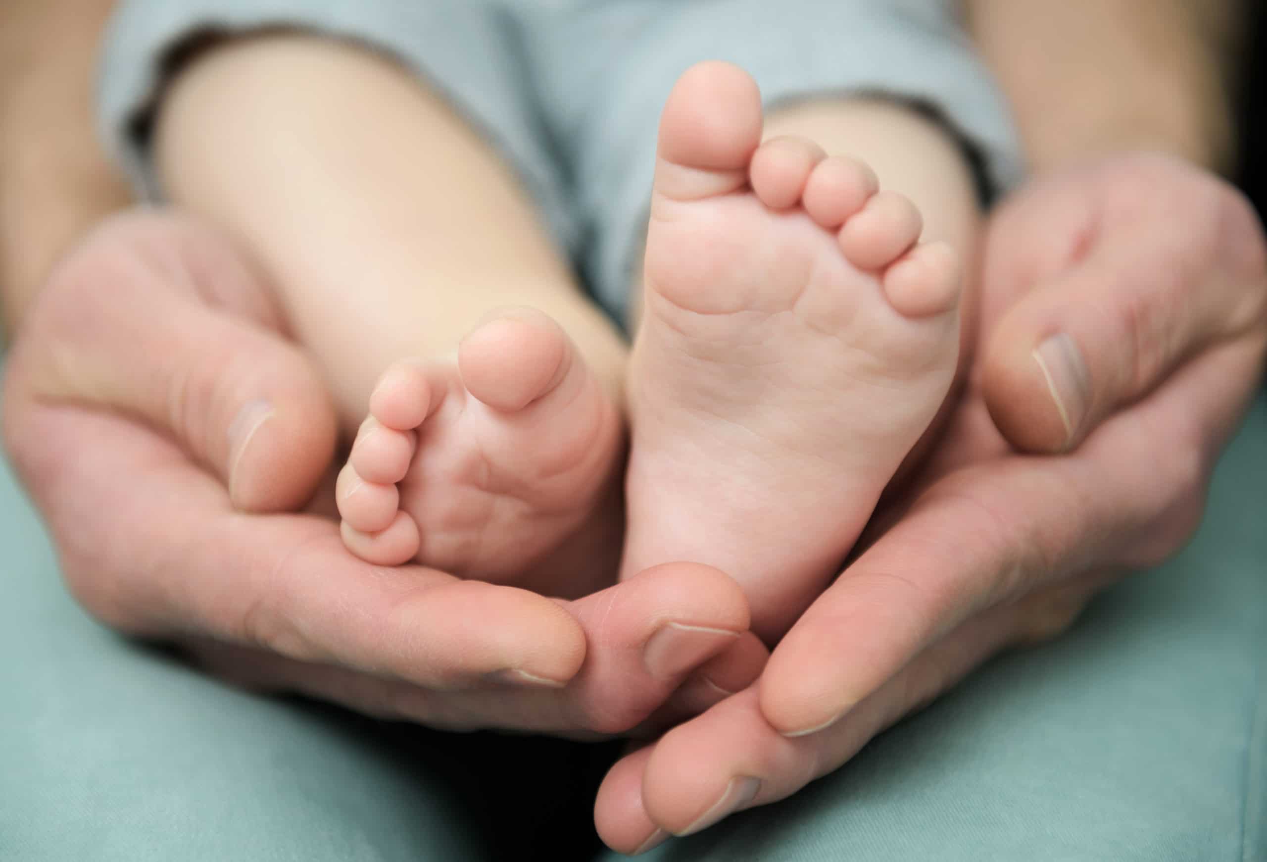 Baby's feet in the hands of an adult.