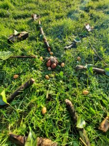 Connecting to your baby and nature