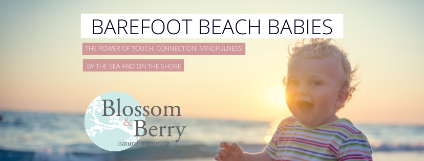 Barefoot Beach Babies Banner