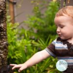 Picture of a toddler touching a tree