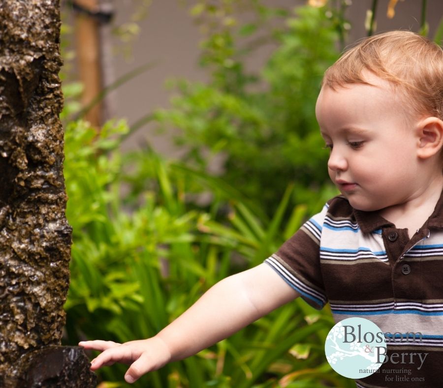 Picture of a toddler touching a tree