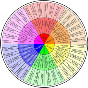 Feelings Wheel