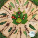Picture of a Nature Mandala