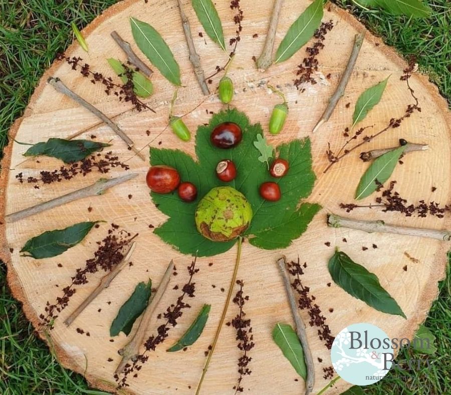 Picture of a Nature Mandala