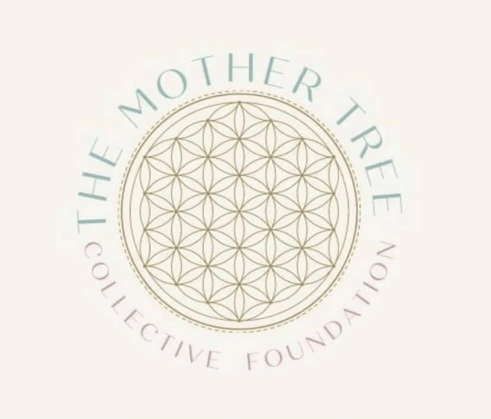 Screenshot 2021-11-23 at 14.50.48 mother tree collective