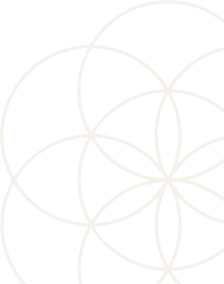 SEED_ICON-17