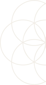 SEED_ICON-6
